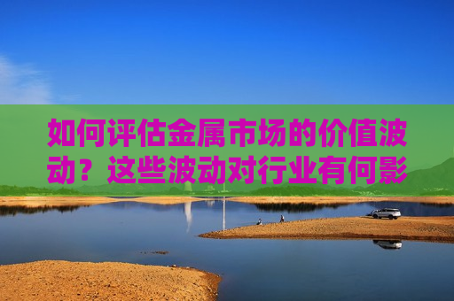 如何评估金属市场的价值波动？这些波动对行业有何影响？