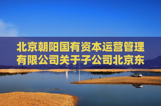 北京朝阳国有资本运营管理有限公司关于子公司北京东方园林环境股份有限公司收到北京证监局警示函的公告