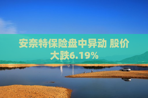 安奈特保险盘中异动 股价大跌6.19%
