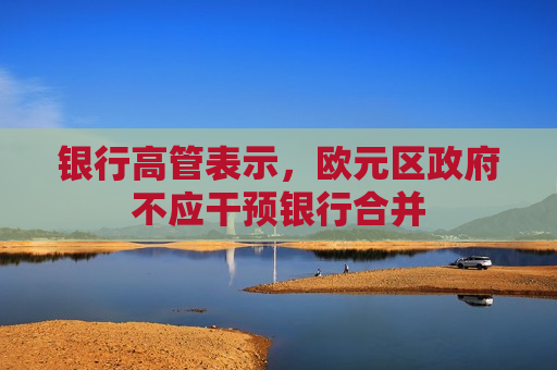 银行高管表示，欧元区 *** 不应干预银行合并