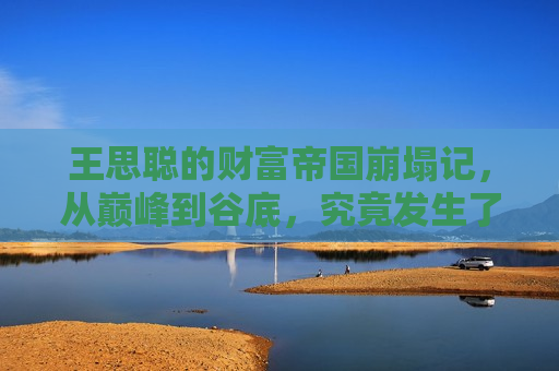 王思聪的财富帝国崩塌记，从巅峰到谷底，究竟发生了什么？，王思聪财富帝国崩塌，从巅峰到谷底，揭秘背后的变故，揭秘王思聪财富崩塌，从巅峰到谷底的变故  第1张