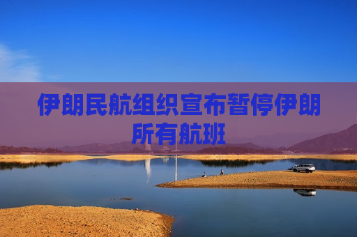 伊朗民航组织宣布暂停伊朗所有航班