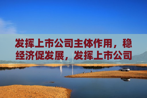 发挥上市公司主体作用，稳经济促发展，发挥上市公司主体作用，助力经济稳定发展，发挥上市公司主体作用，助力经济稳定发展
