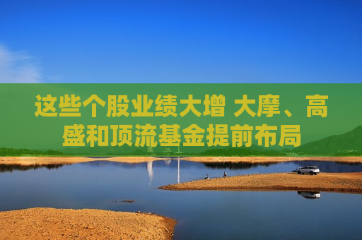 这些个股业绩大增 大摩、高盛和顶流基金提前布局
