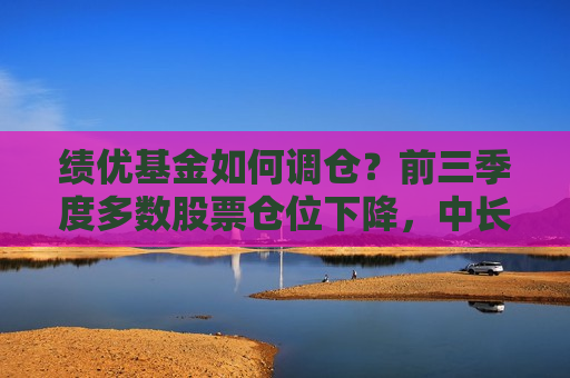 绩优基金如何调仓？前三季度多数股票仓位下降，中长期看好A股，估值提升只是完成“白菜价”修复  第1张