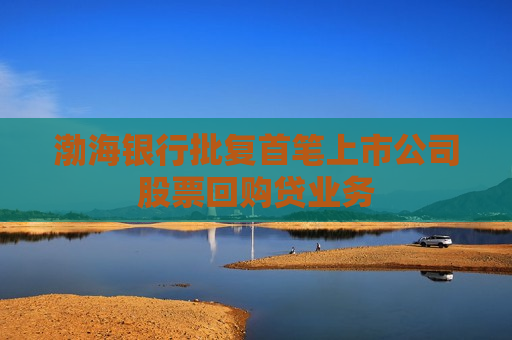 渤海银行批复首笔上市公司股票回购贷业务  第1张