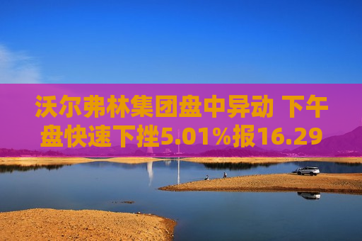 沃尔弗林集团盘中异动 下午盘快速下挫5.01%报16.29美元  第1张