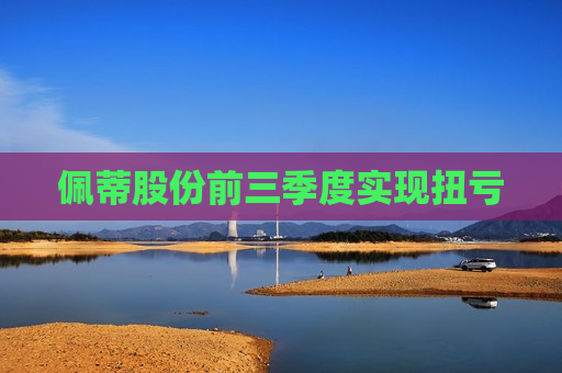 佩蒂股份前三季度实现扭亏  第1张