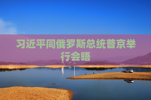  *** 同俄罗斯总统普京举行会晤