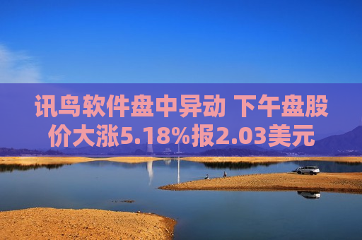 讯鸟软件盘中异动 下午盘股价大涨5.18%报2.03美元  第1张