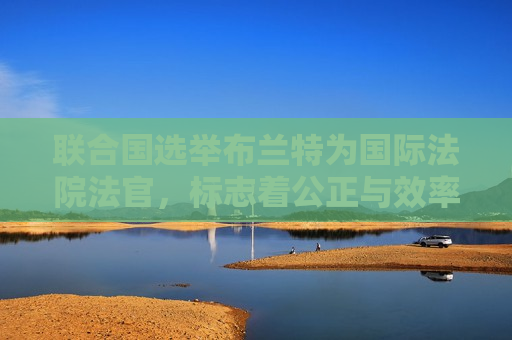 联合国选举布兰特为国际法院法官，标志着公正与效率的崭新里程碑，布兰特当选国际法院法官，公正与效率的崭新里程碑，布兰特当选国际法院法官，公正与效率的崭新里程碑