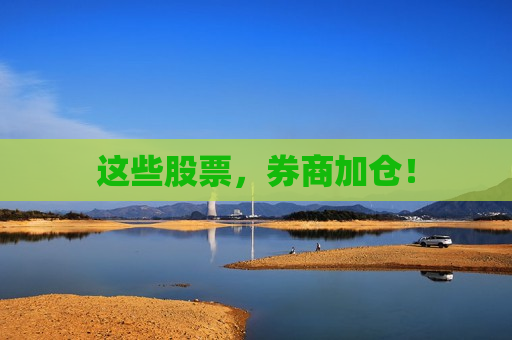 这些股票，券商加仓！