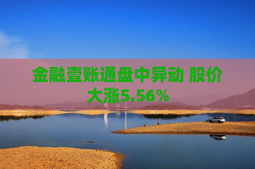 金融壹账通盘中异动 股价大涨5.56%  第1张