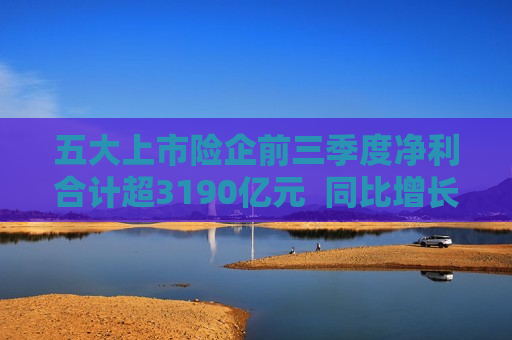 五大上市险企前三季度净利合计超3190亿元  同比增长78.3%