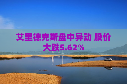 艾里德克斯盘中异动 股价大跌5.62%  第1张