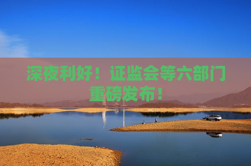 深夜利好！ *** 等六部门重磅发布！