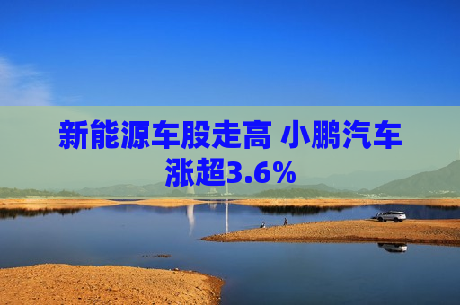 新能源车股走高 小鹏汽车涨超3.6%