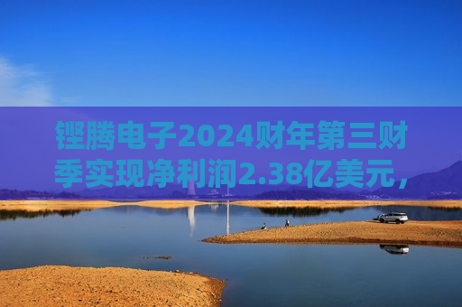 铿腾电子2024财年第三财季实现净利润2.38亿美元，同比减少6.30%  第1张