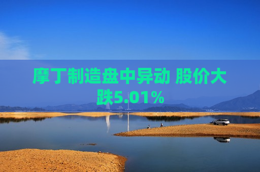 摩丁制造盘中异动 股价大跌5.01%