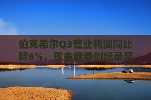 伯克希尔Q3营业利润同比降6%，现金储备创纪录至3252亿美元，减持苹果25%  第1张