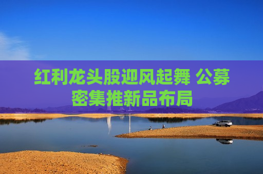 红利龙头股迎风起舞 公募密集推新品布局