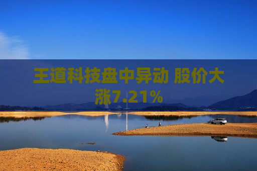王道科技盘中异动 股价大涨7.21%