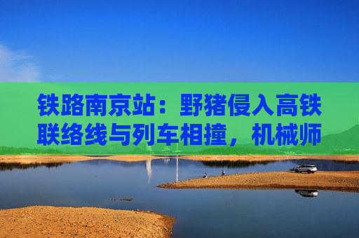 铁路南京站：野猪侵入高铁联络线与列车相撞，机械师下车处置中被邻线列车碰撞身亡