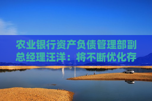 农业银行资产负债管理部副总经理汪洋：将不断优化存款定价策略 加强定价的精细化管理  第1张