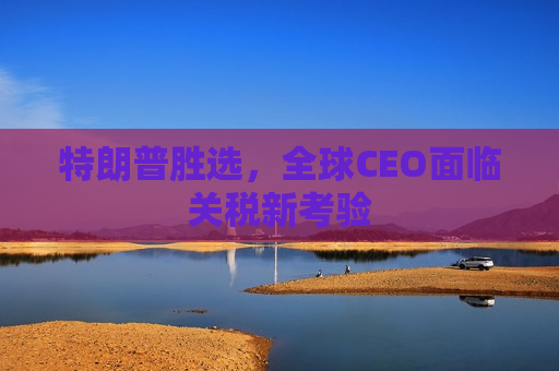 特朗普胜选，全球CEO面临关税新考验