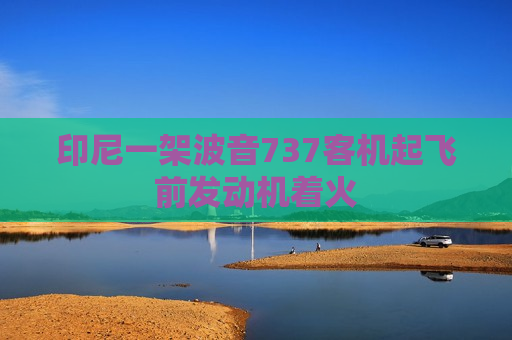 印尼一架波音737客机起飞前发动机着火