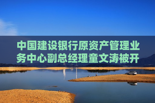 中国建设银行原资产管理业务中心副总经理童文涛被开除党籍