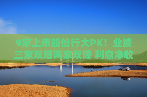 9家上市股份行大PK！业绩三家双增两家双降 利息净收入增长乏力