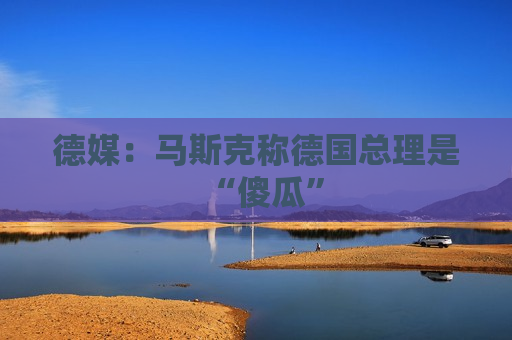 德媒：马斯克称德国总理是“傻瓜”