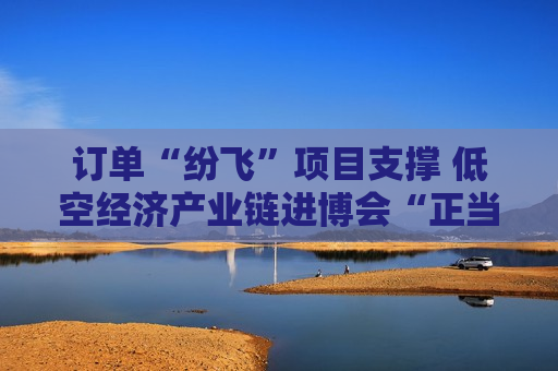 订单“纷飞”项目支撑 低空经济产业链进博会“正当红”  第1张