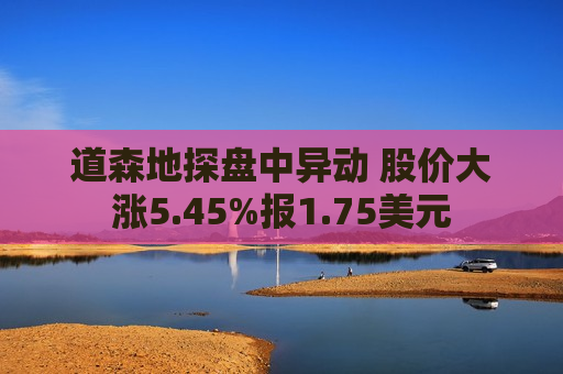 道森地探盘中异动 股价大涨5.45%报1.75美元