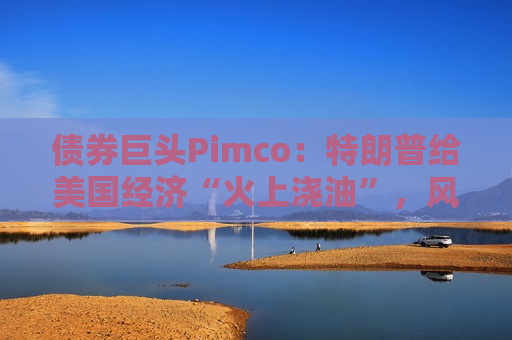 债券巨头Pimco：特朗普给美国经济“火上浇油”，风险资产别高兴太早  第1张