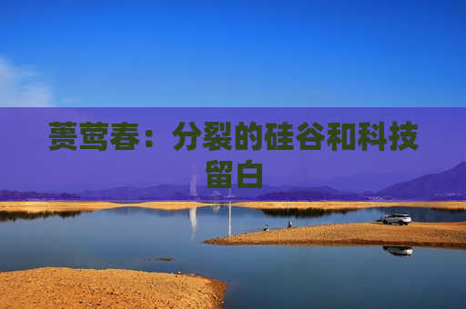 蒉莺春：分裂的硅谷和科技留白