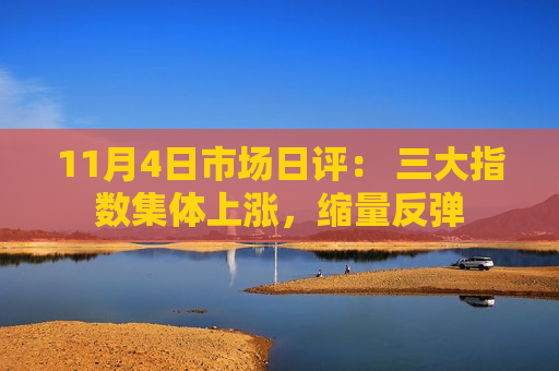 11月4日市场日评： 三大指数集体上涨，缩量反弹