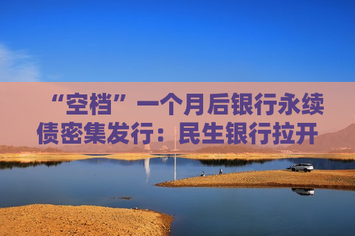 “空档”一个月后银行永续债密集发行：民生银行拉开四季度发行序幕 招行、平安、苏州银行11月接续  第1张