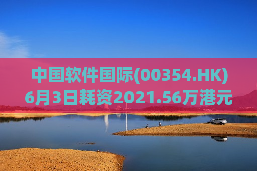 中国软件国际(00354.HK)6月3日耗资2021.56万港元回购500万股  第1张