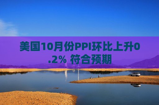 美国10月份PPI环比上升0.2% 符合预期