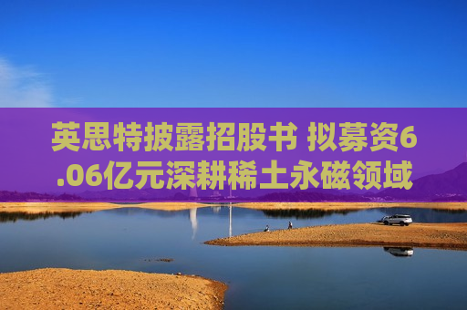 英思特披露招股书 拟募资6.06亿元深耕稀土永磁领域
