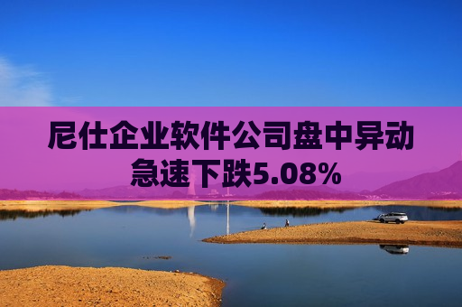 尼仕企业软件公司盘中异动 急速下跌5.08%  第1张