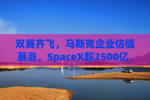 双翼齐飞，马斯克企业估值暴涨，SpaceX超2500亿，xAI达450亿
