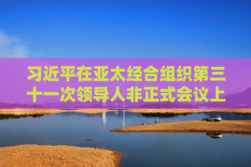  *** 在亚太经合组织第三十一次领导人非正式会议上的讲话（全文）
