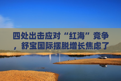 四处出击应对“红海”竞争，舒宝国际摆脱增长焦虑了？  第1张