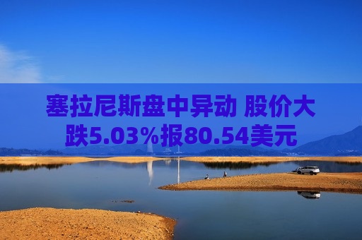塞拉尼斯盘中异动 股价大跌5.03%报80.54美元