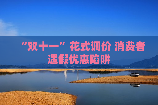 “双十一”花式调价 消费者遇假优惠陷阱