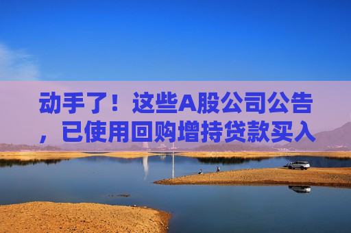动手了！这些A股公司公告，已使用回购增持贷款买入股票！