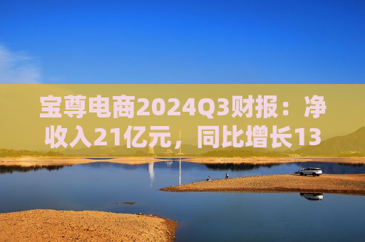 宝尊电商2024Q3财报：净收入21亿元，同比增长13%